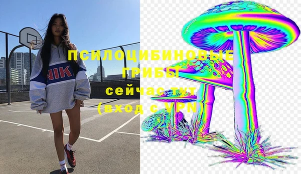 молекула духа Верея