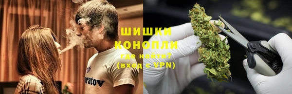 гидра Бугульма