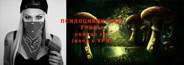 гидра Бугульма