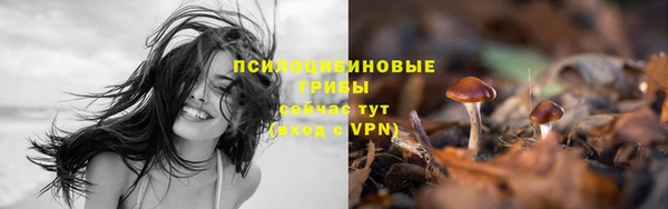 ПСИЛОЦИБИНОВЫЕ ГРИБЫ Бронницы