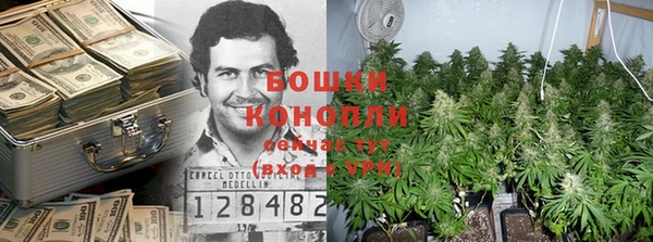 гидра Бугульма