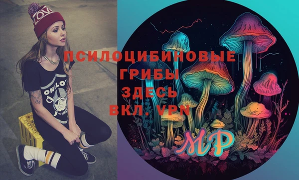 ПСИЛОЦИБИНОВЫЕ ГРИБЫ Бронницы