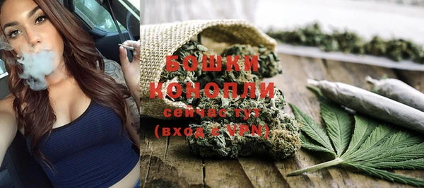 ПСИЛОЦИБИНОВЫЕ ГРИБЫ Бронницы