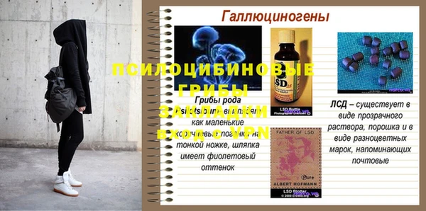гидра Бугульма