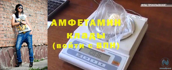 ПСИЛОЦИБИНОВЫЕ ГРИБЫ Бронницы