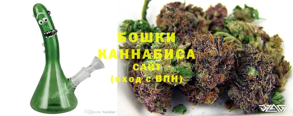 гидра Бугульма