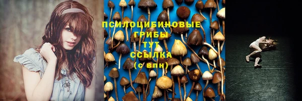 гидра Бугульма