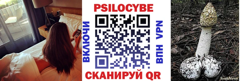 Галлюциногенные грибы GOLDEN TEACHER  Купить где  Чапаевск 
